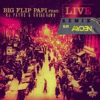 Artwork for Live (Remix) [feat. RJ Payne & GREA8GAWD] by Big Flip Papi