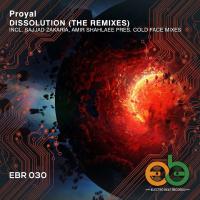 Artwork for Dissolution (The Remixes) by PROYAL