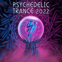 Artwork for Psychedelic Trance 2022 by DoctorSpook