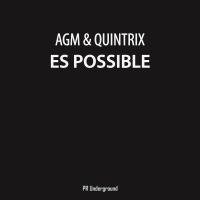 Artwork for Es Posible by Agm