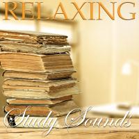 Artwork for Relaxing Study Sounds by Classical Study Music