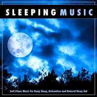 Music For Sleep