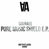 Artwork for Pure Music Shield by Courage