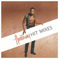 Artwork for The Hit Mixes by Haddaway