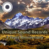 Artwork for Unique Sound Records: 3 Years Anniversary by Various Artists