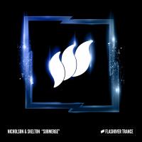 Artwork for Submerge by Nicholson