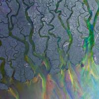 Artwork for An Awesome Wave by alt-J