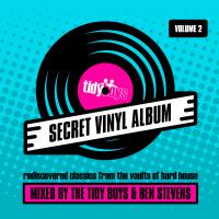 Artwork for Secret Vinyl Album, Vol. 2 by The Tidy Boys