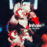 Artwork for Open Wide by Inhaler