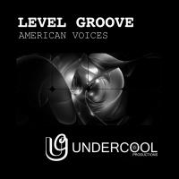 Artwork for American Voices by Level Groove