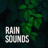 Artwork for Rain Sounds by Relaxing Music Therapy