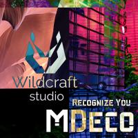 Artwork for Recognize You by MDeco