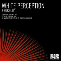 Artwork for Physical EP by White Perception