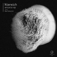 Artwork for Ancaria EP by Niereich