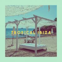 Artwork for Tropical Ibiza by Lounge Café