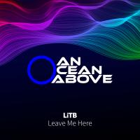 Artwork for Leave Me Here by LiTB