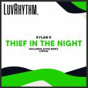 Artwork for Thief In The Night (Attek Remix)