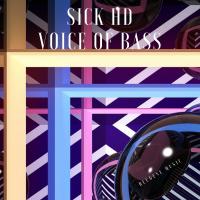 Artwork for Voice Of Bass by Sick HD