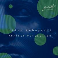 Artwork for Perfect Perception by Hideo Kobayashi