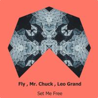 Artwork for Set Me Free by Fly