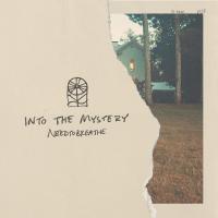 Artwork for Into The Mystery by NEEDTOBREATHE