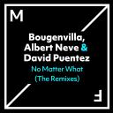 Artwork for No Matter What (Extended Mix)