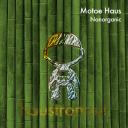 Artwork for Nanorganic