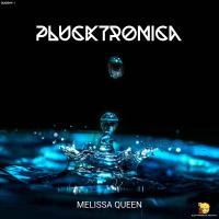 Artwork for Plucktronica by Melissa Queen