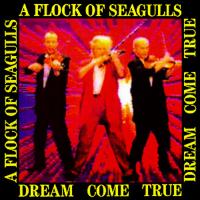 Artwork for Dream Come True by A Flock Of Seagulls