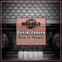 Artwork for Deep Is Answer by David Jansen