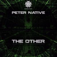 Artwork for The Other by Peter Native