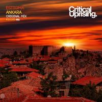 Artwork for Ankara by Estigma