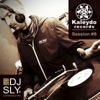 Artwork for Kaleydo Records Session #5 by Various Artists