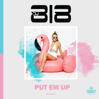 Artwork for Put Em Up by DJ 818