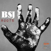 Artwork for Roots by Enrico BSJ Ferrari