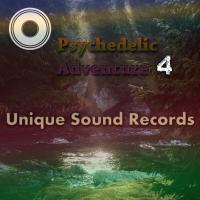 Artwork for Psychedelic Adventure 4 by Various Artists