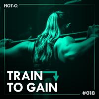 Artwork for Train To Gain 018 by Various Artists