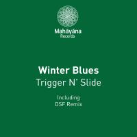 Artwork for Winter Blues by Trigger N' Slide