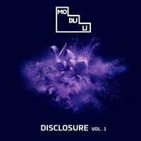 Artwork for Disclosure Vol.1 by Thayana Valle