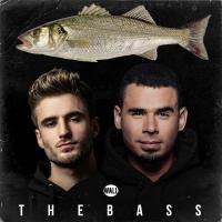 Artwork for The Bass by Chico Rose