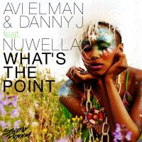 Artwork for What's the Point (feat. Nuwella) by Avi Elman