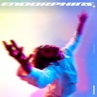 Artwork for ENDORPHINS by EVAN GIIA