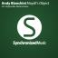 Artwork for Mayall's Object (Original Mix)