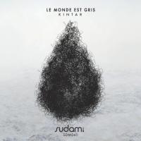 Artwork for Le Monde Est Gris by Kintar