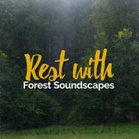 Artwork for Rest with Forest Soundscapes by Nature Sound Collection