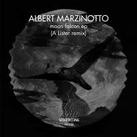 Artwork for Moon Falcon EP by Albert Marzinotto