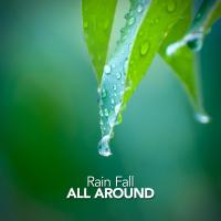 Artwork for Rain Fall All Around by Rain Sounds Nature Collection