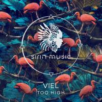 Artwork for Too High by VieL