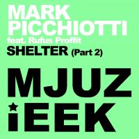 Artwork for Shelter, Pt. 2 by Mark Picchiotti