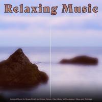 Artwork for Relaxing Music: Ambient Music for Stress Relief and Ocean Waves, Calm Music for Depression, Sleep and Wellness by Stress Relief Experience